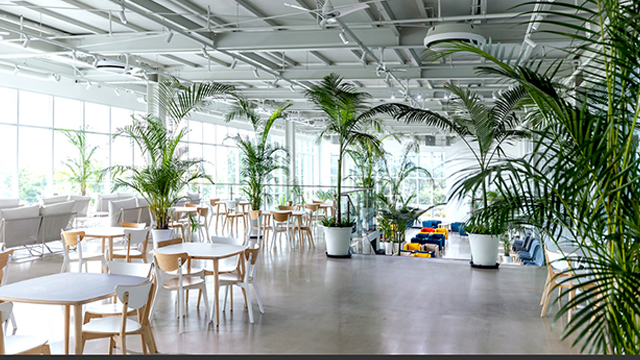 식물원 카페의 탁 트인 공간을 상쾌한 공기로 완성하다